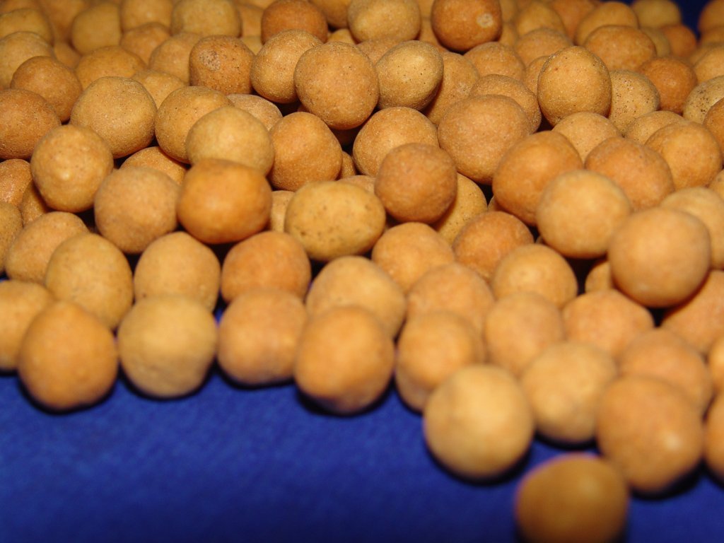 Çıtır Leblebi, leblebi,