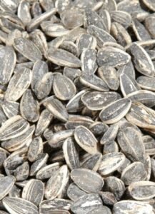 dakota, dakota çekirdek, çekirdek dakota